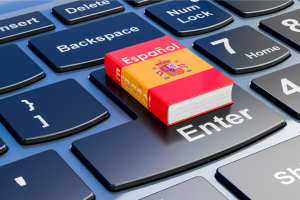 Conceptos básicos de informática – Español
